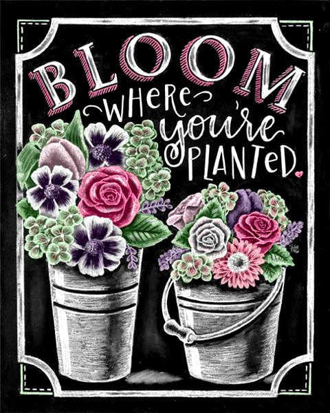 Zwart Bord met Bloemen in Pot Schilderen op Nummers