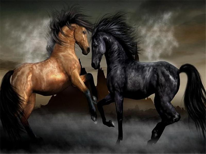 Zwart en Bruin Paard Schilderen op Nummers