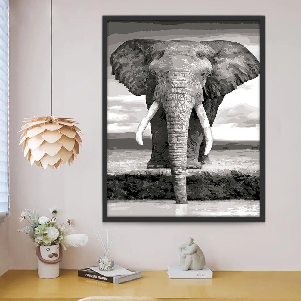 Zwart-Wit Olifant Schilderen op Nummers