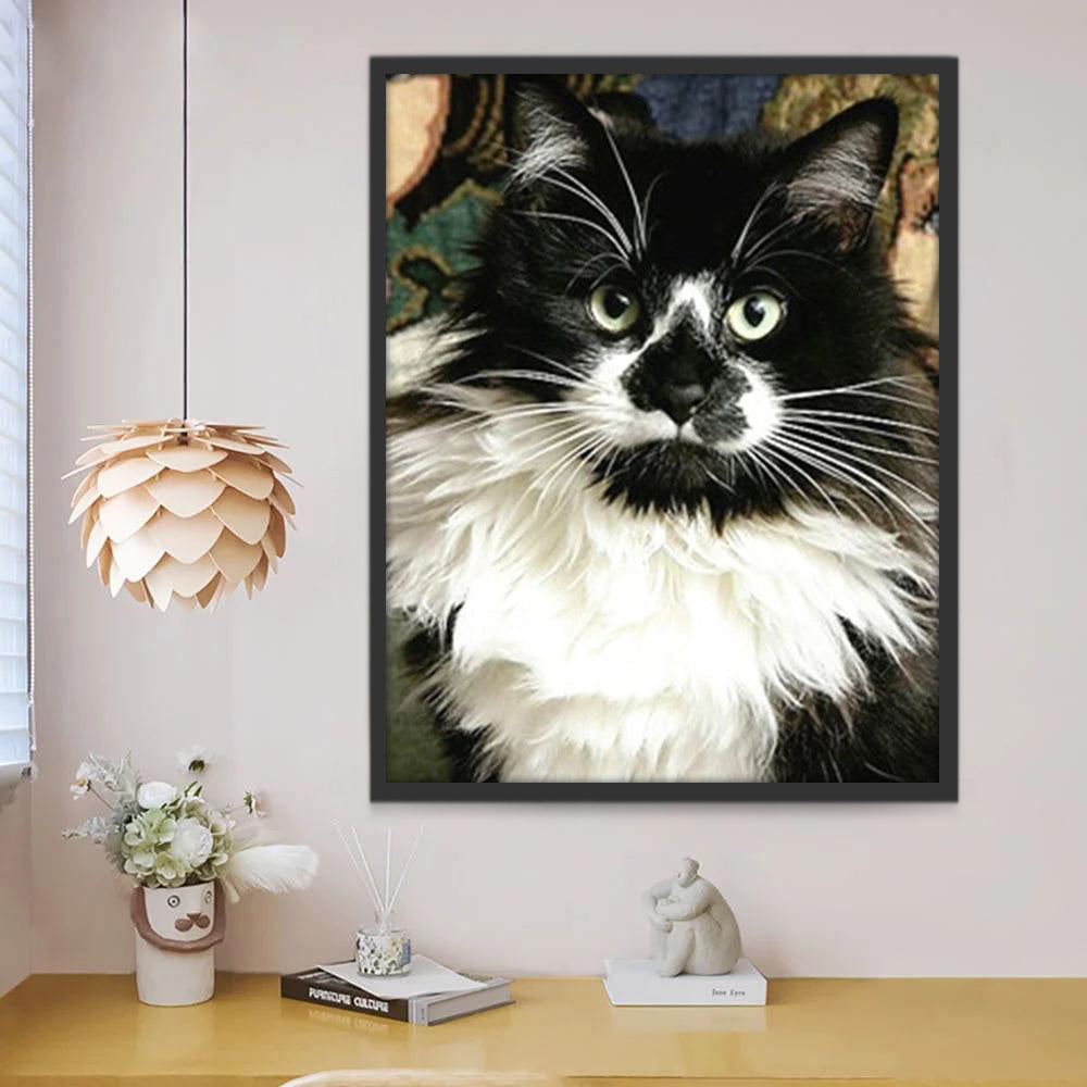 Zwart-witte Kat Schilderen op Nummers