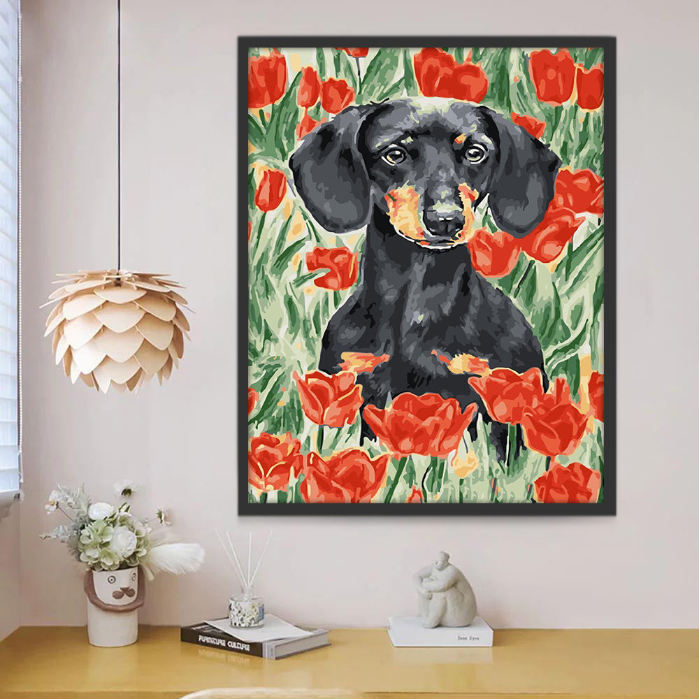 Zwarte Hond in Rode Tulpenstruik Schilderen op Nummers