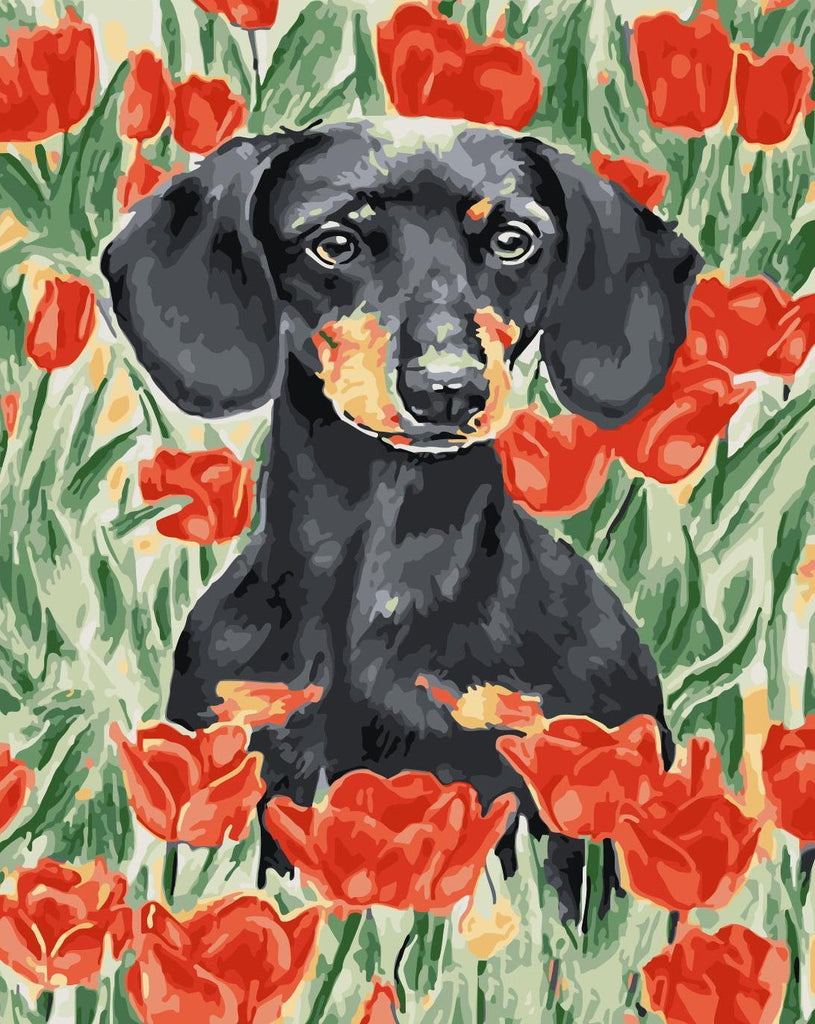 Zwarte Hond in Rode Tulpenstruik Schilderen op Nummers