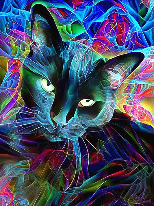 Zwarte Kat en Gekleurd Licht Schilderen op Nummers