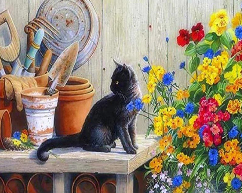 Zwarte Kat en Kleurrijke Bloemen Schilderen op Nummers