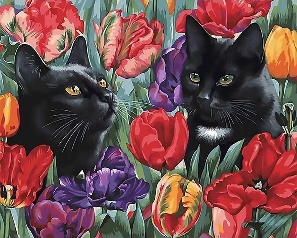 Zwarte Kat in Tulpenstruik Schilderen op Nummers