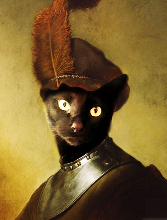 Zwarte Kat met een Gevederde Hoed Schilderen op Nummers