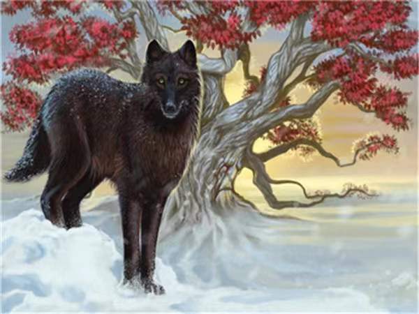 Zwarte Wolf onder de Boom Schilderen op Nummers