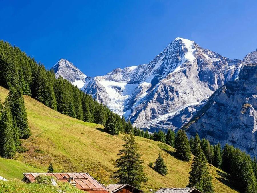 Zwitsers Uitzicht op de Schneeberg Schilderen op Nummers